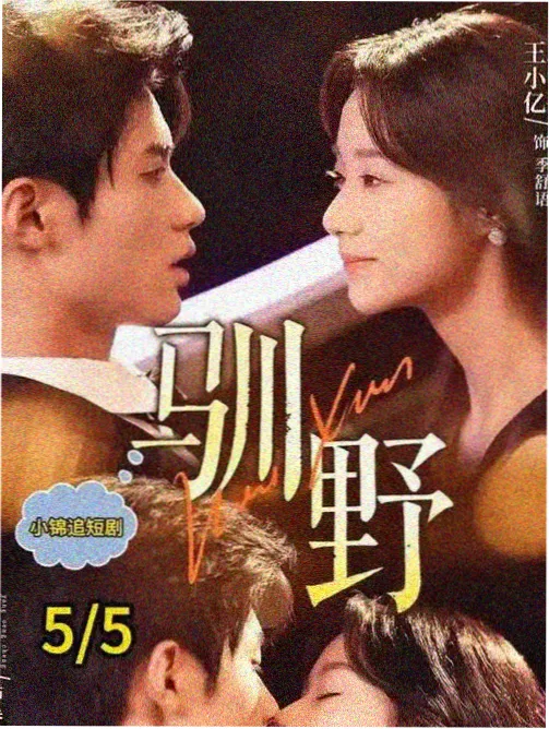 长线叙事剧集观察条目封面